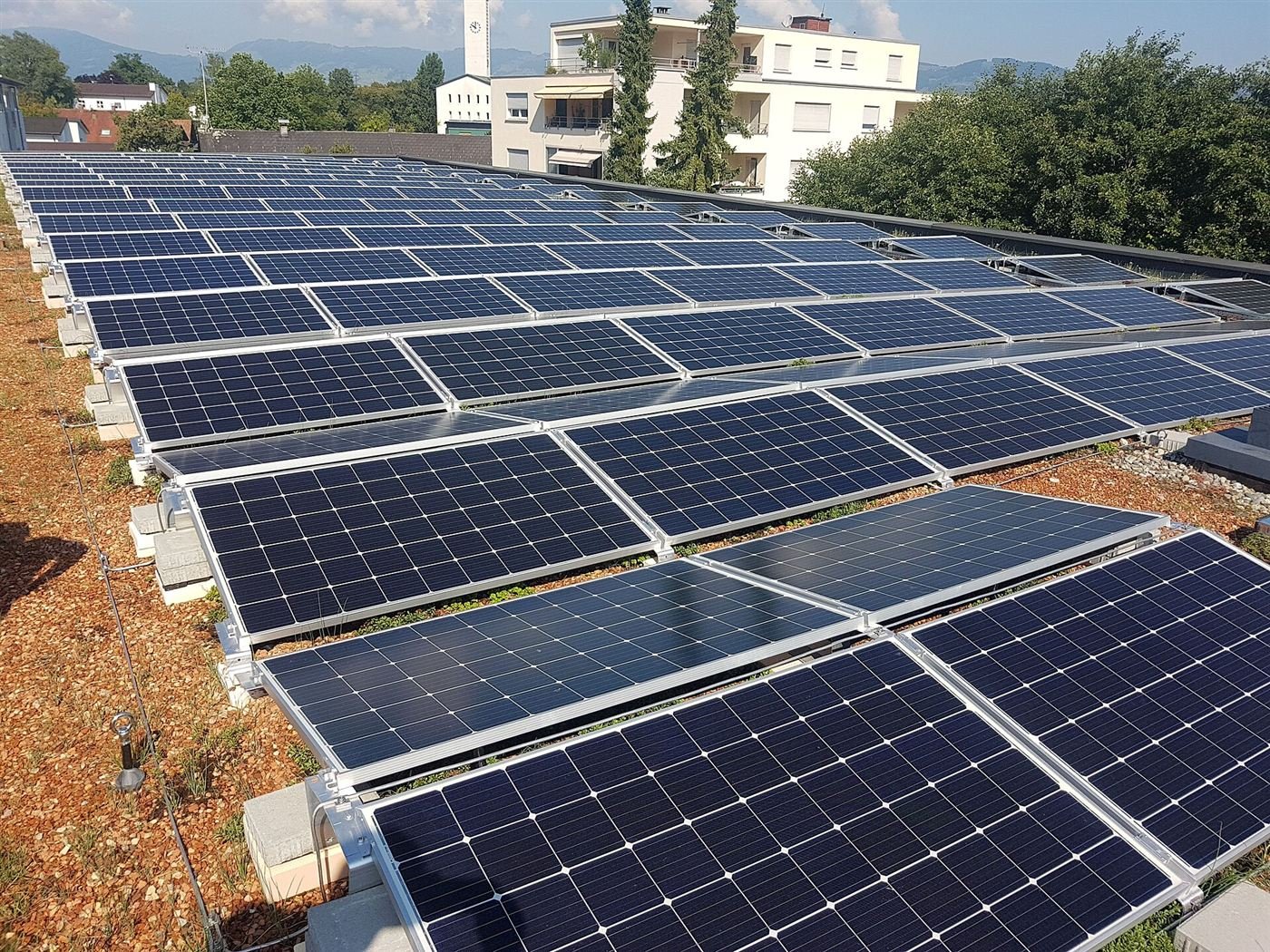 Reihen von Solarmodulen auf einem begrünten Flachdach